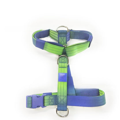 Dog leash