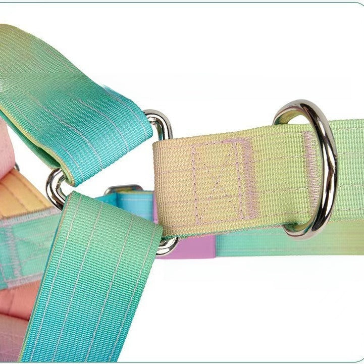 Dog leash
