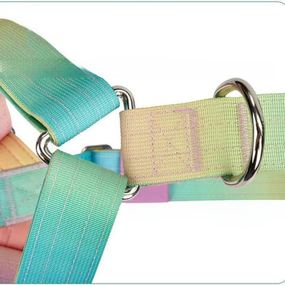 Dog leash