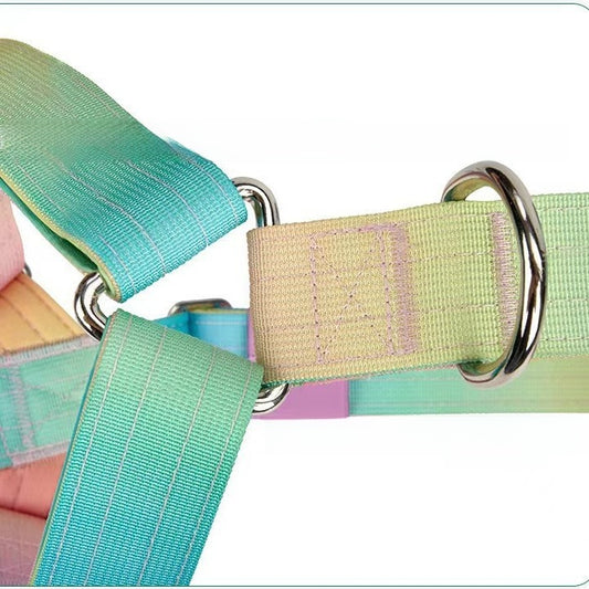 Dog leash