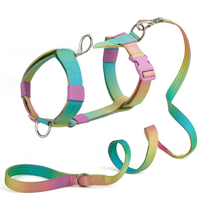 Dog leash