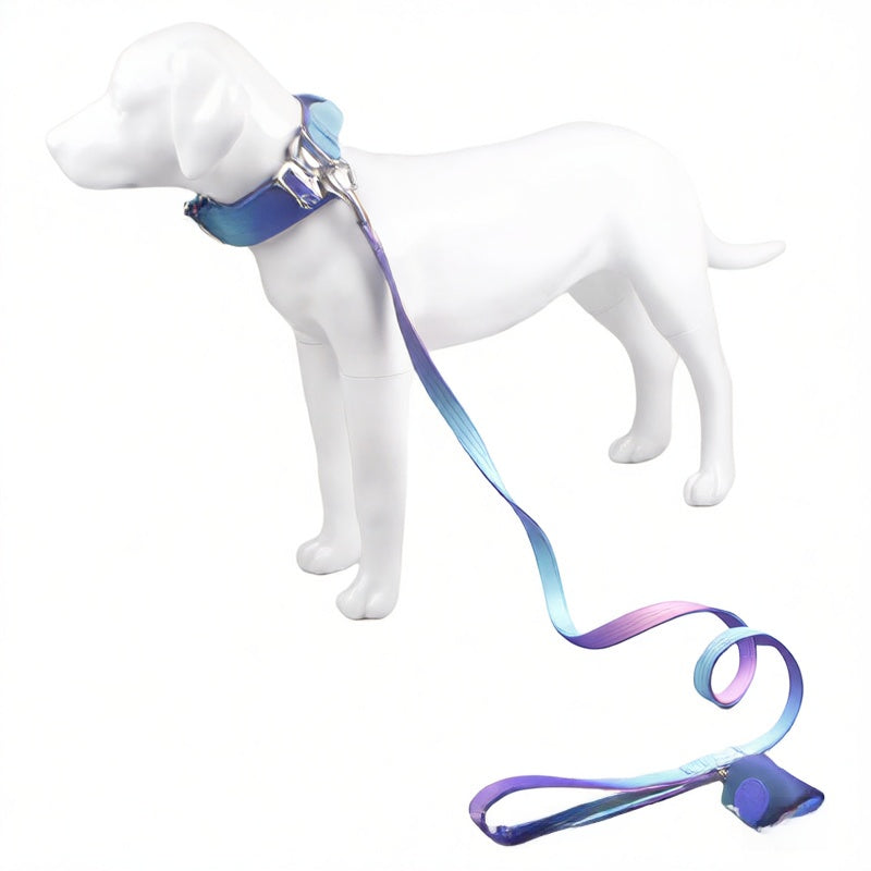 Dog leash