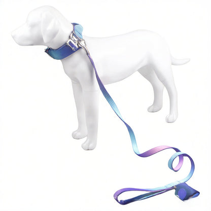 Dog leash