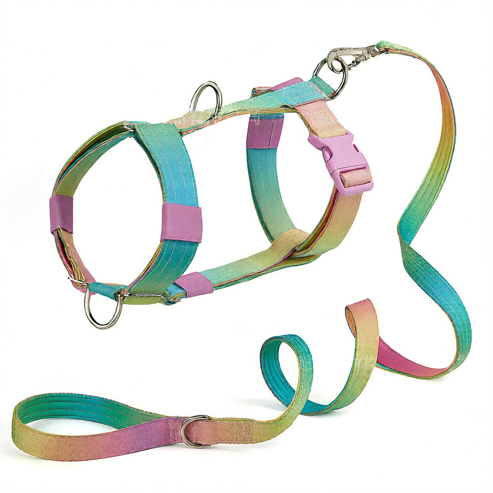 Dog leash