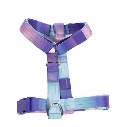 Dog leash