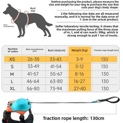 Dog leash