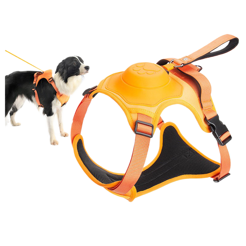 Dog leash
