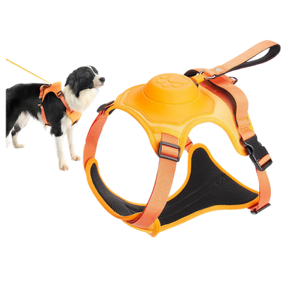 Dog leash