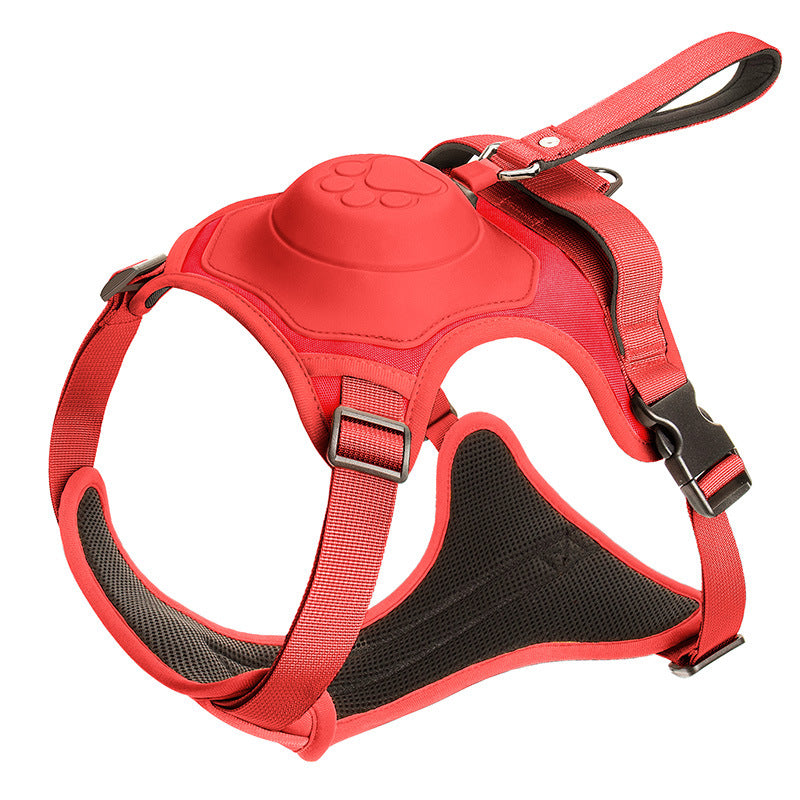 Dog leash