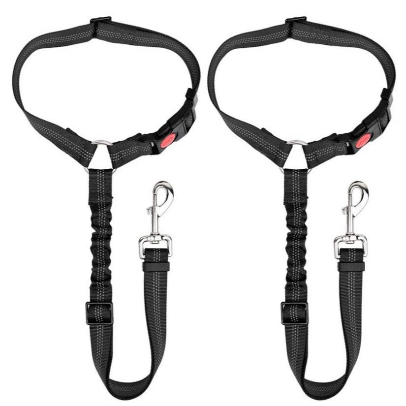 Dog leash