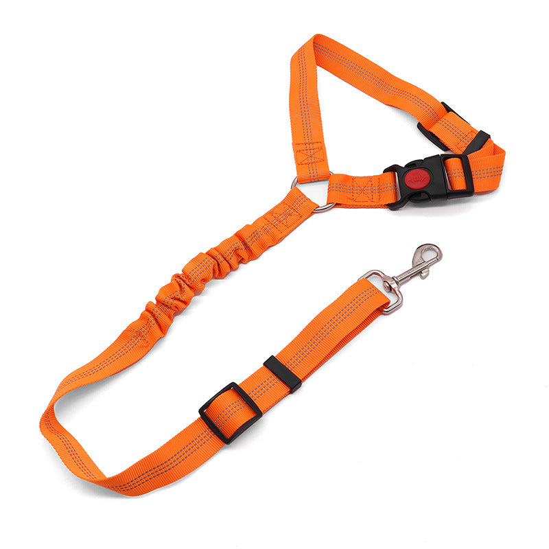 Dog leash