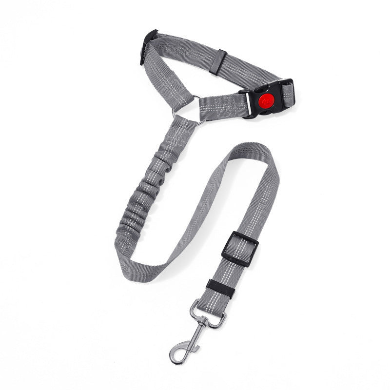 Dog leash