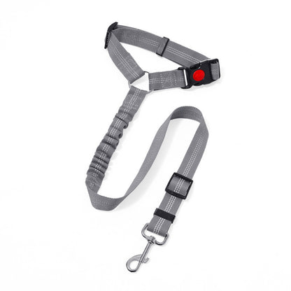 Dog leash
