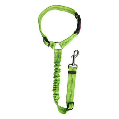 Dog leash