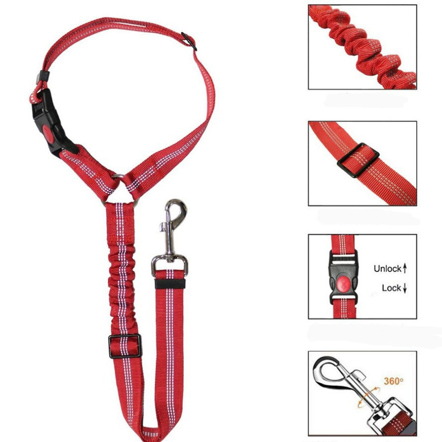 Dog leash