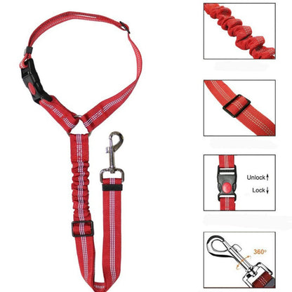 Dog leash