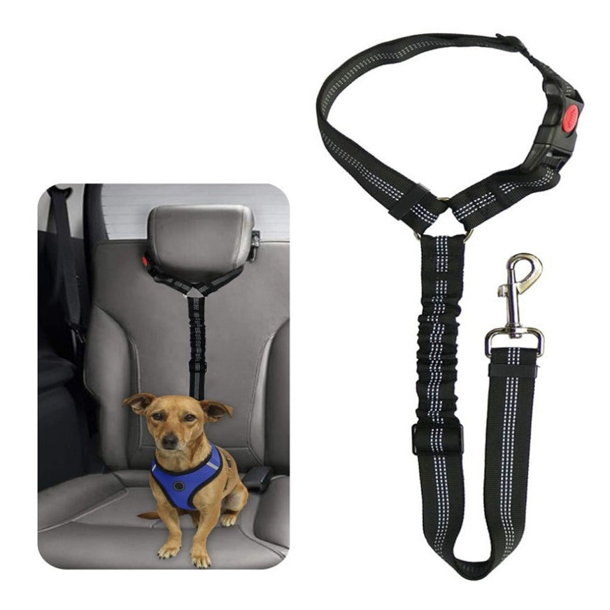 Dog leash