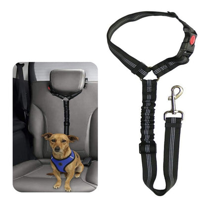 Dog leash
