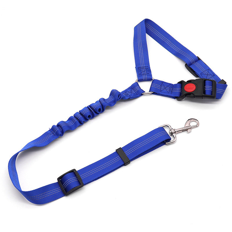 Dog leash