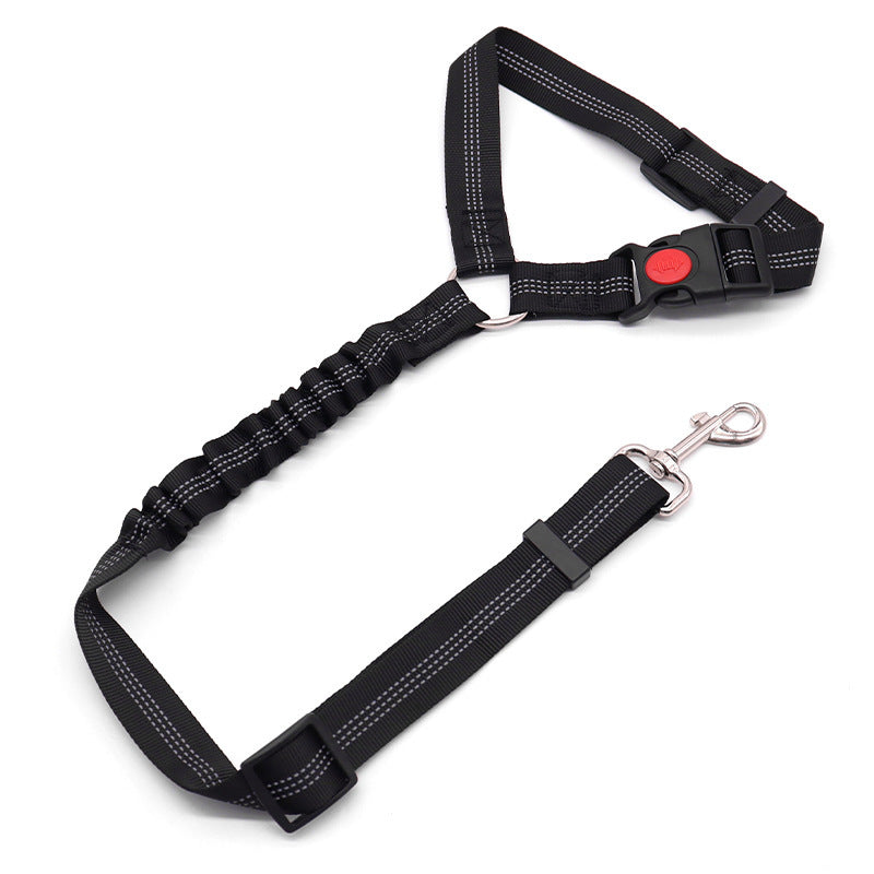 Dog leash