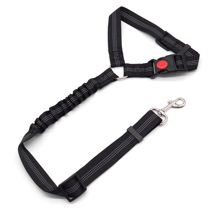 Dog leash