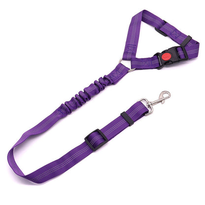 Dog leash