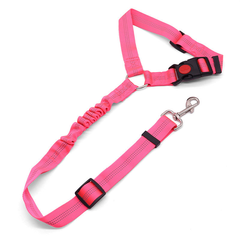 Dog leash