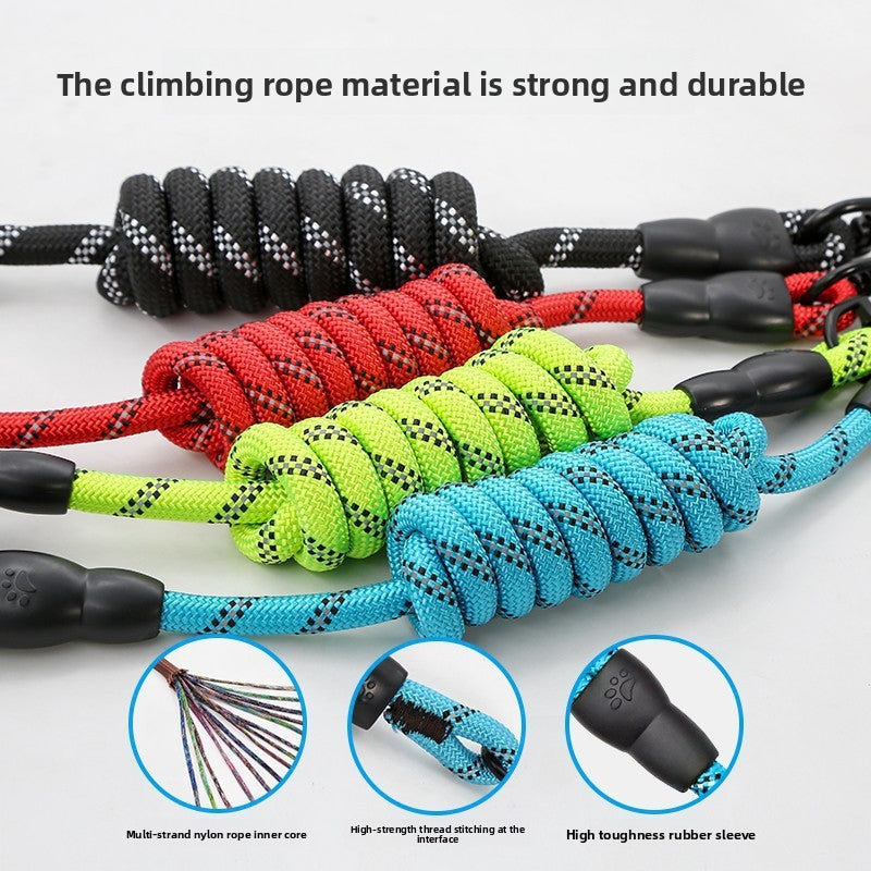 Dog Leash