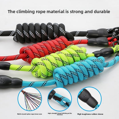 Dog Leash