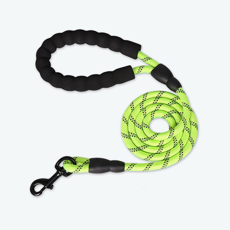 Dog Leash