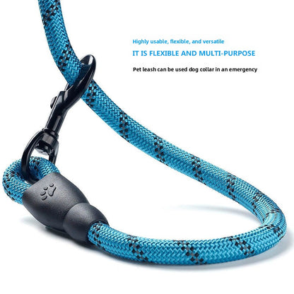 Dog Leash