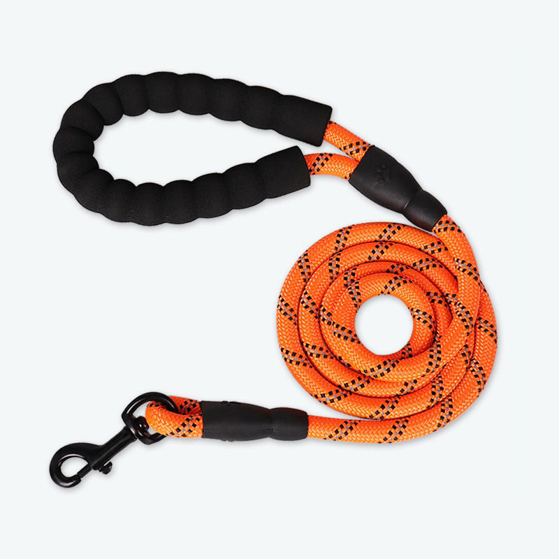 Dog Leash