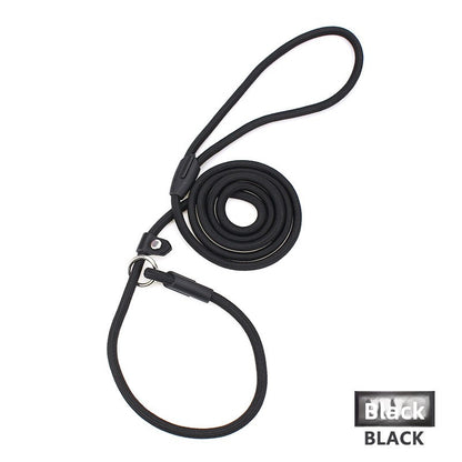 Dog leash