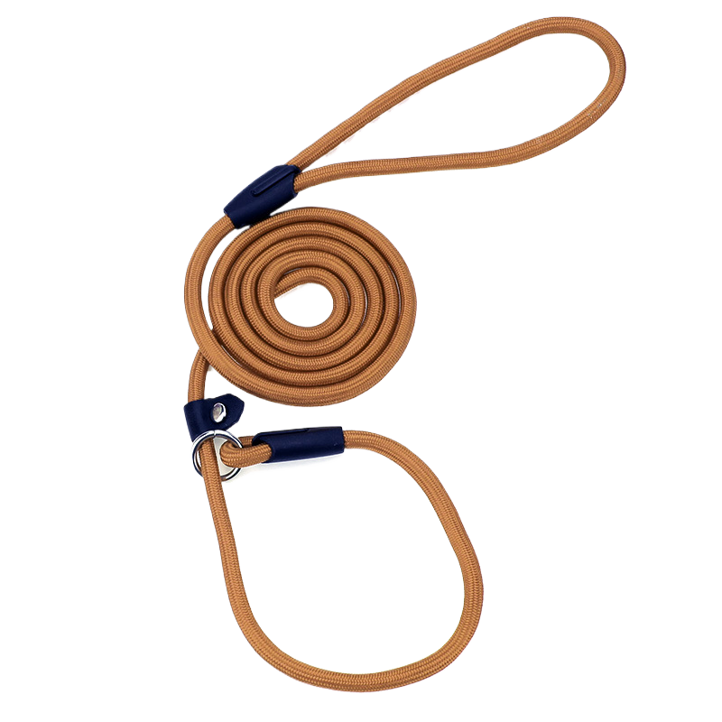 Dog leash