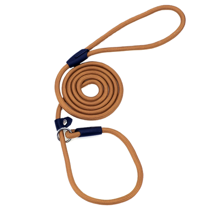 Dog leash