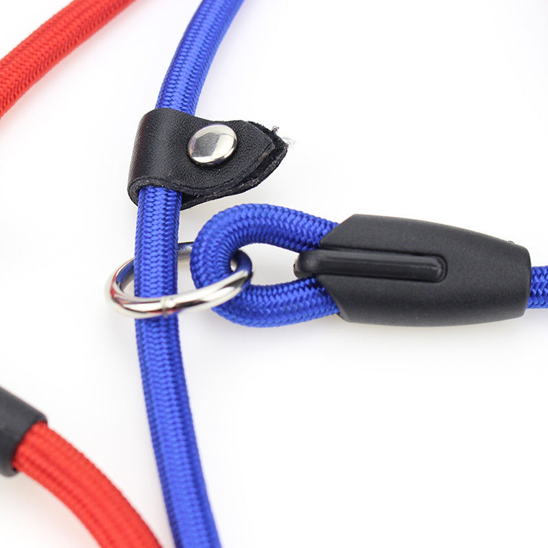 Dog leash