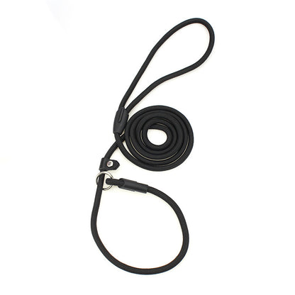 Dog leash