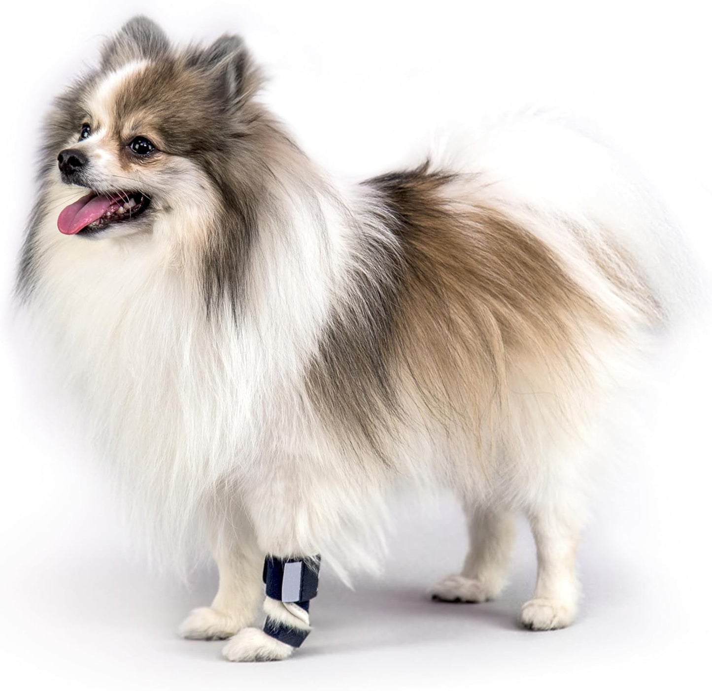 Dog leg protectors
