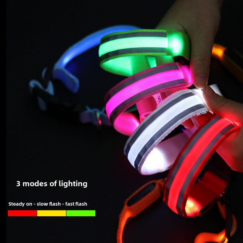 Dog Luminous Collar