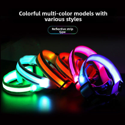 Dog Luminous Collar