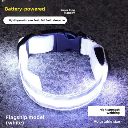 Dog Luminous Collar
