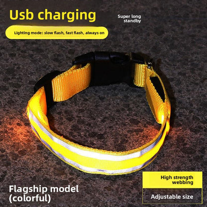 Dog Luminous Collar