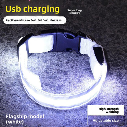 Dog Luminous Collar