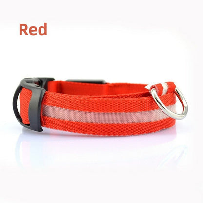 Dog luminous collar, USB charging dog collar, large and small LED pet anti lost collar