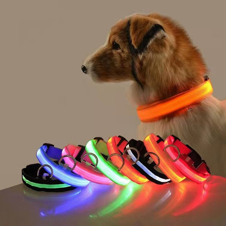 Dog luminous collar, USB charging dog collar, large and small LED pet anti lost collar