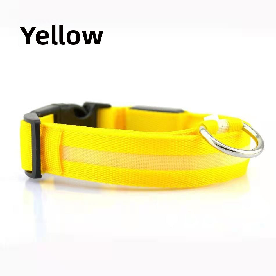 Dog luminous collar, USB charging dog collar, large and small LED pet anti lost collar