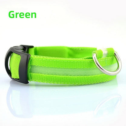 Dog luminous collar, USB charging dog collar, large and small LED pet anti lost collar