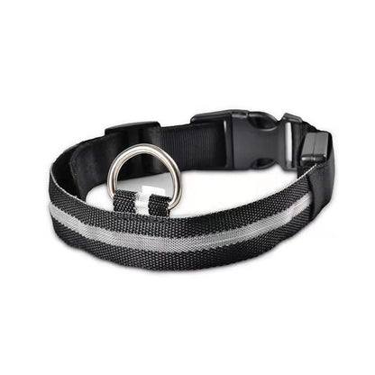 Dog luminous collar, USB charging dog collar, large and small LED pet anti lost collar