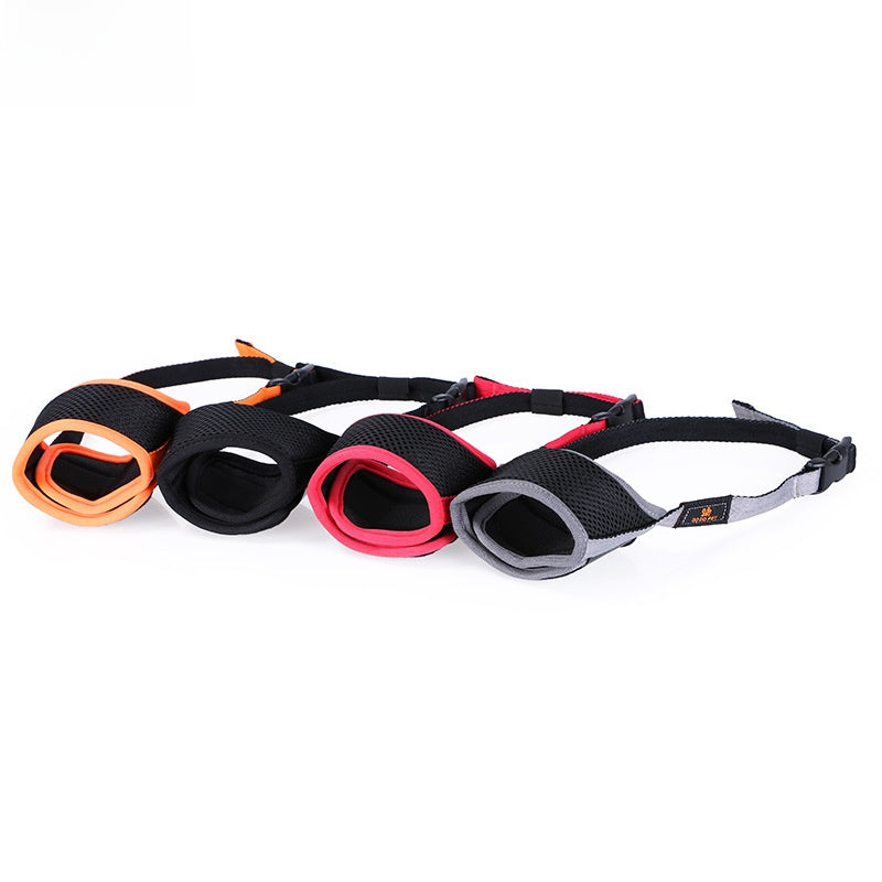 dog muzzle