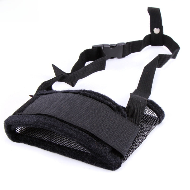 dog muzzle